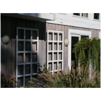 rear trellis.JPG